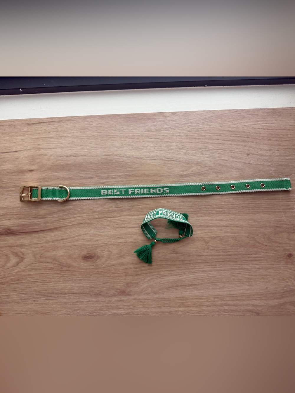 Matching Dog Collar & Friendship Bracelet Set – New, Never Used